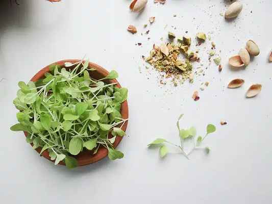 8 ΣΥΝΤΑΓΕΣ ΜΕ MICROGREENS ΓΙΑ ΝΑ ΓΙΟΡΤΑΣΟΥΜΕ ΤΗΝ ΑΡΧΗ ΚΑΛΟΚΑΙΡΙΟΥ