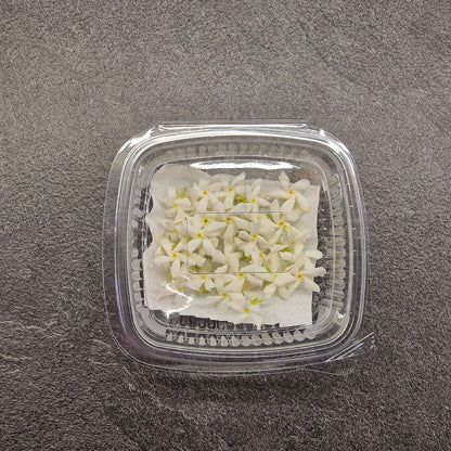 Γιασεμί, Jasmine