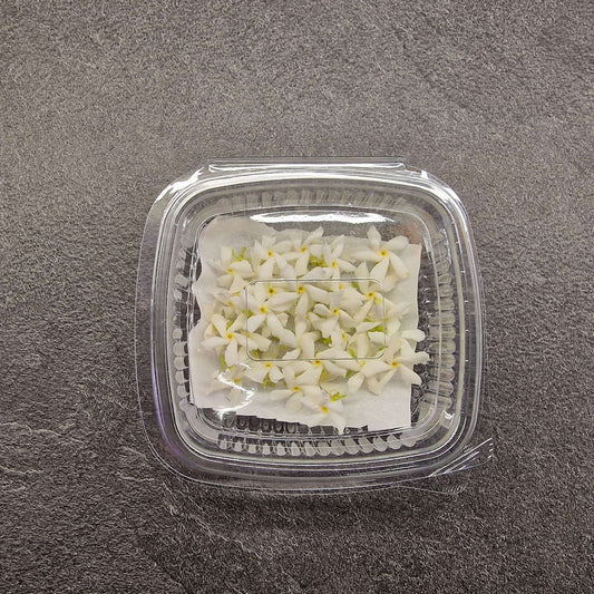 Γιασεμί, Jasmine