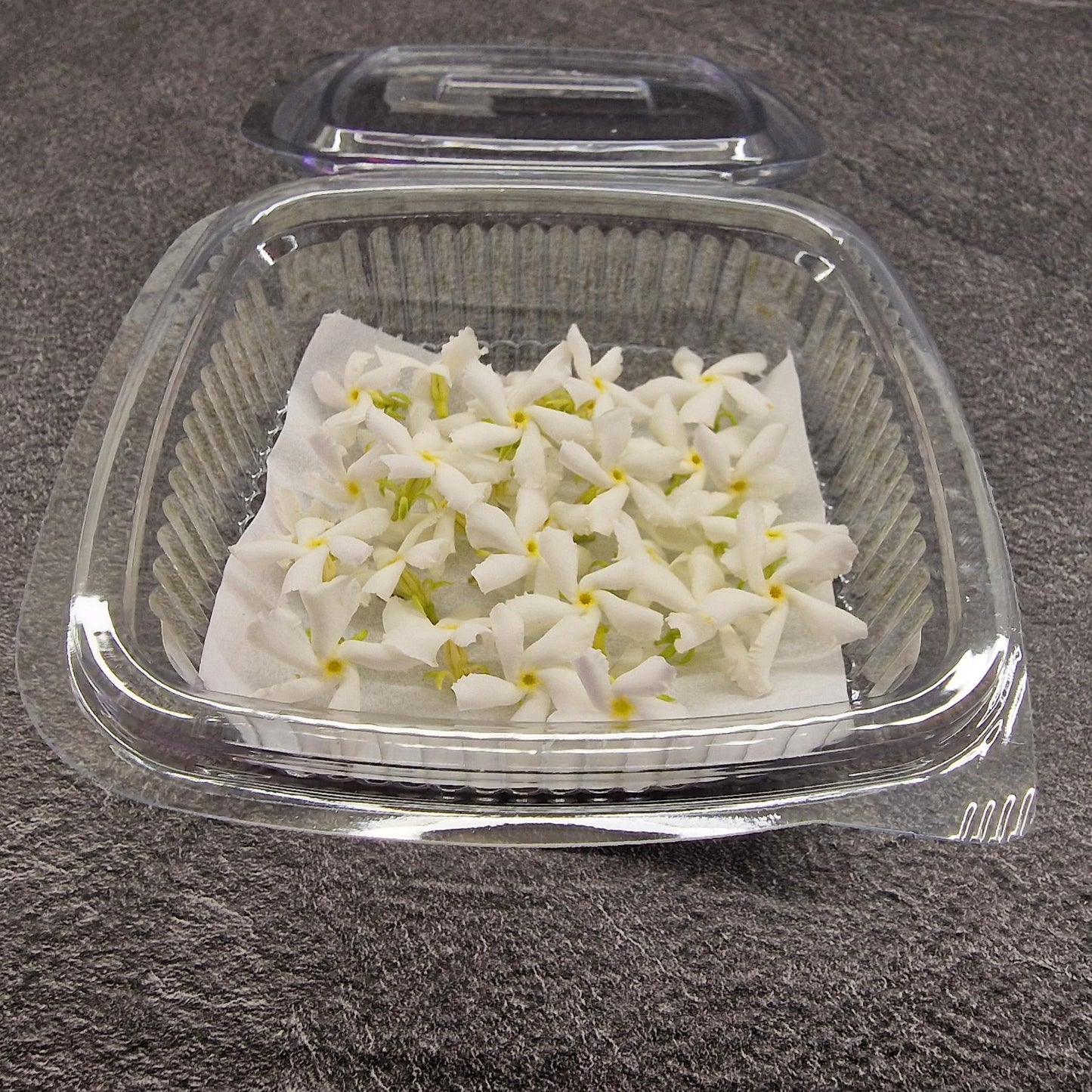 Γιασεμί, Jasmine