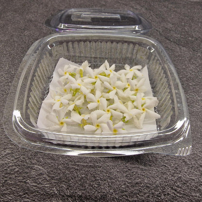 Γιασεμί, Jasmine